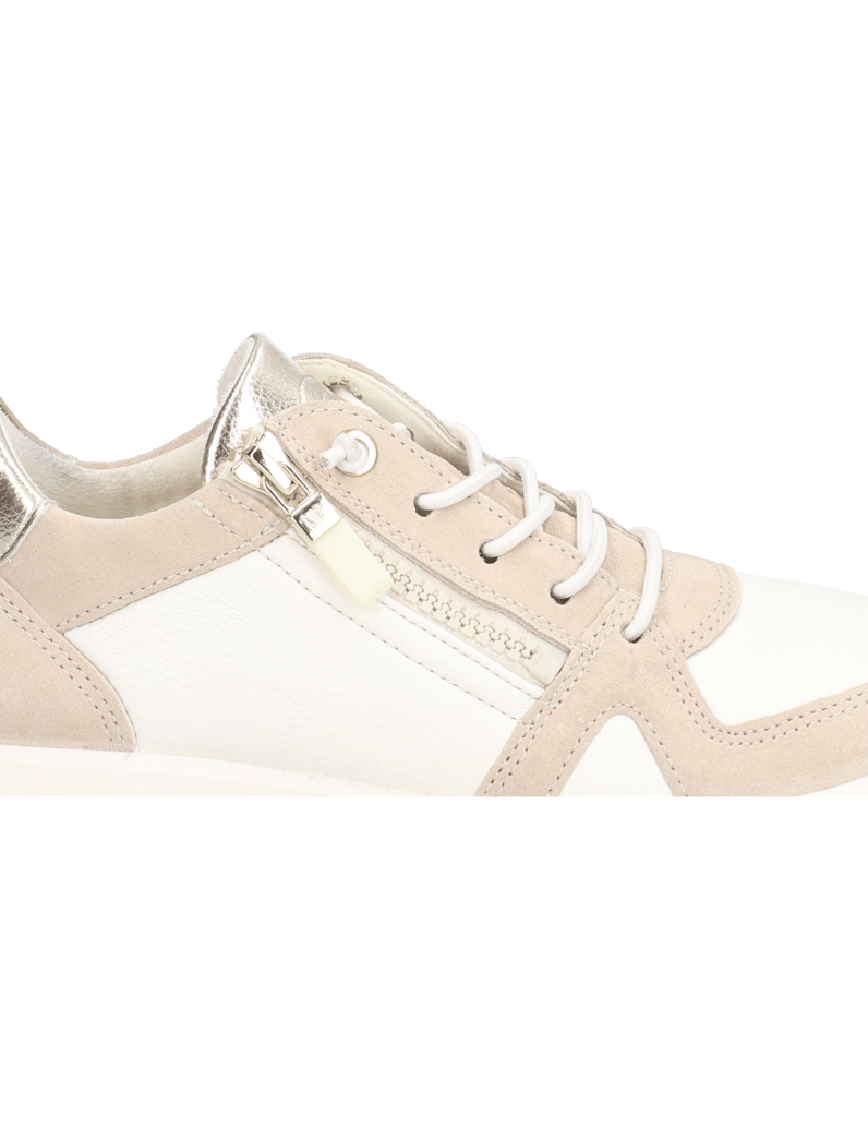 Ara-Roma-beige