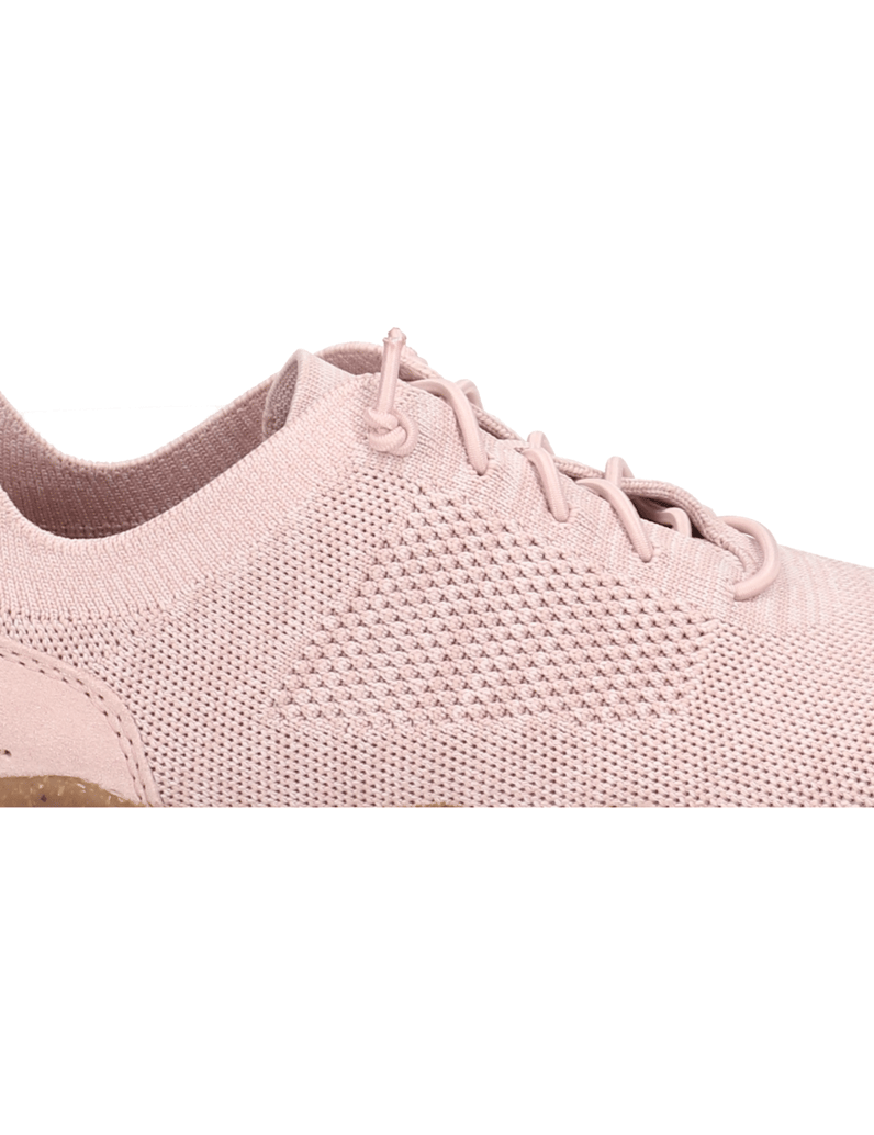 JOSEF-SEIBEL-CASSANDRA-08-rosa
