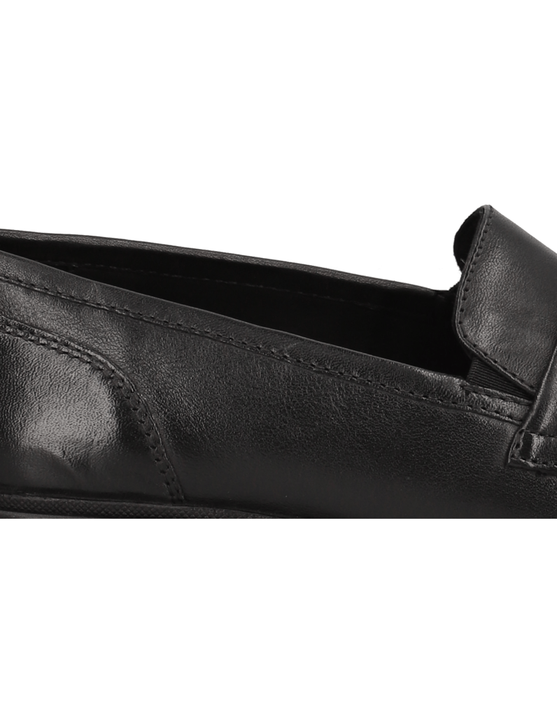 Ara-CAMBRIDGE-schwarz