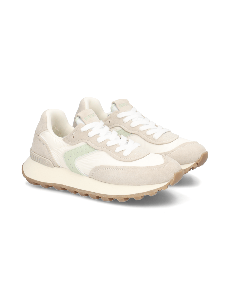 Verbenas-CLODETTE-TESSALI-multicolor