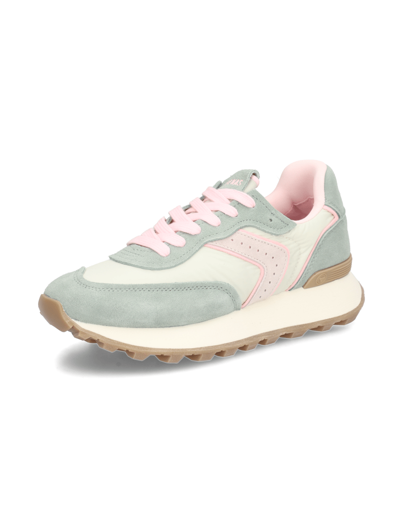 Verbenas-CLODETTE-TESSALI-multicolor