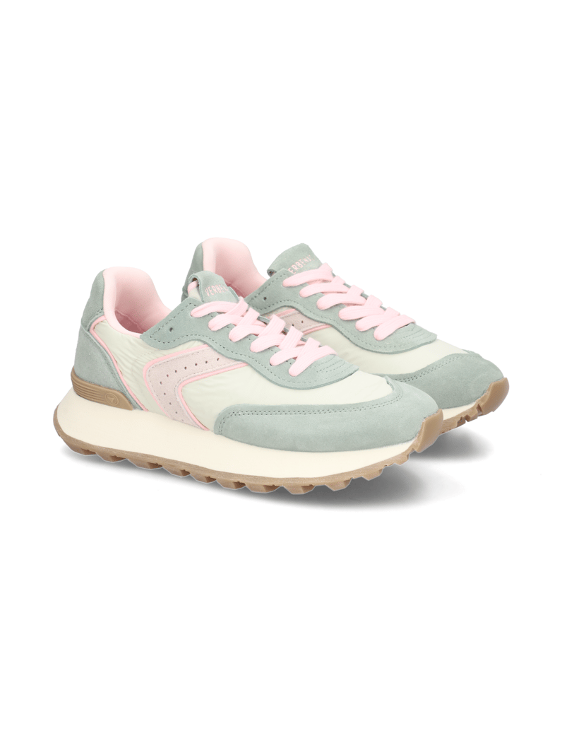 Verbenas-CLODETTE-TESSALI-multicolor