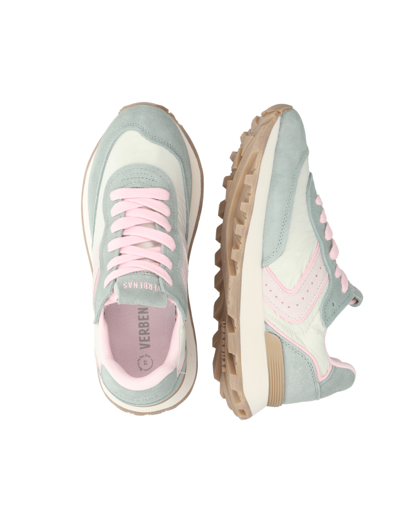 Verbenas-CLODETTE-TESSALI-multicolor
