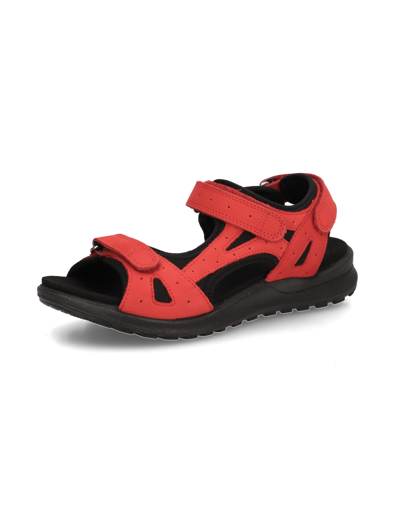 Legero-Siris-rot