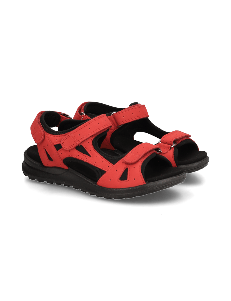 Legero-Siris-rot