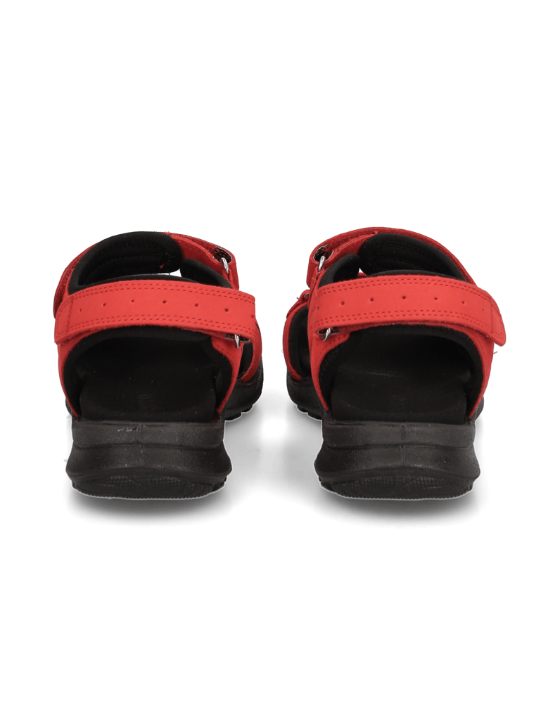 Legero-Siris-rot