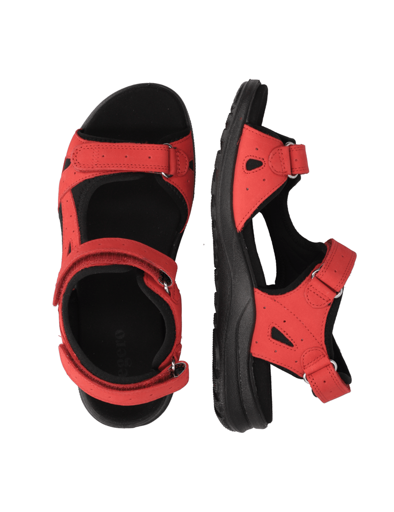 Legero-Siris-rot