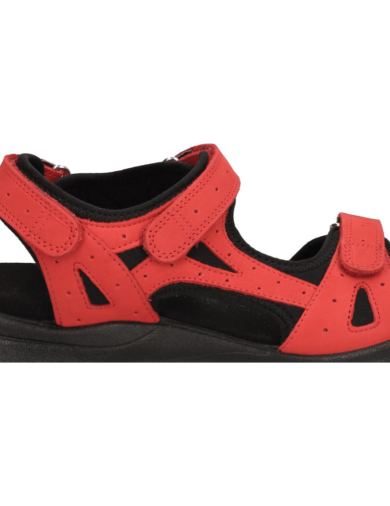 Legero-Siris-rot