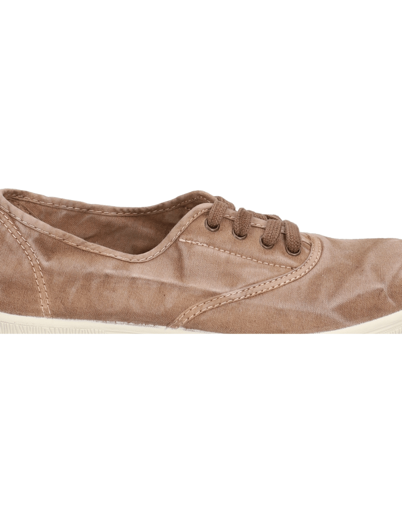 Natural-World-OLD-ARUM