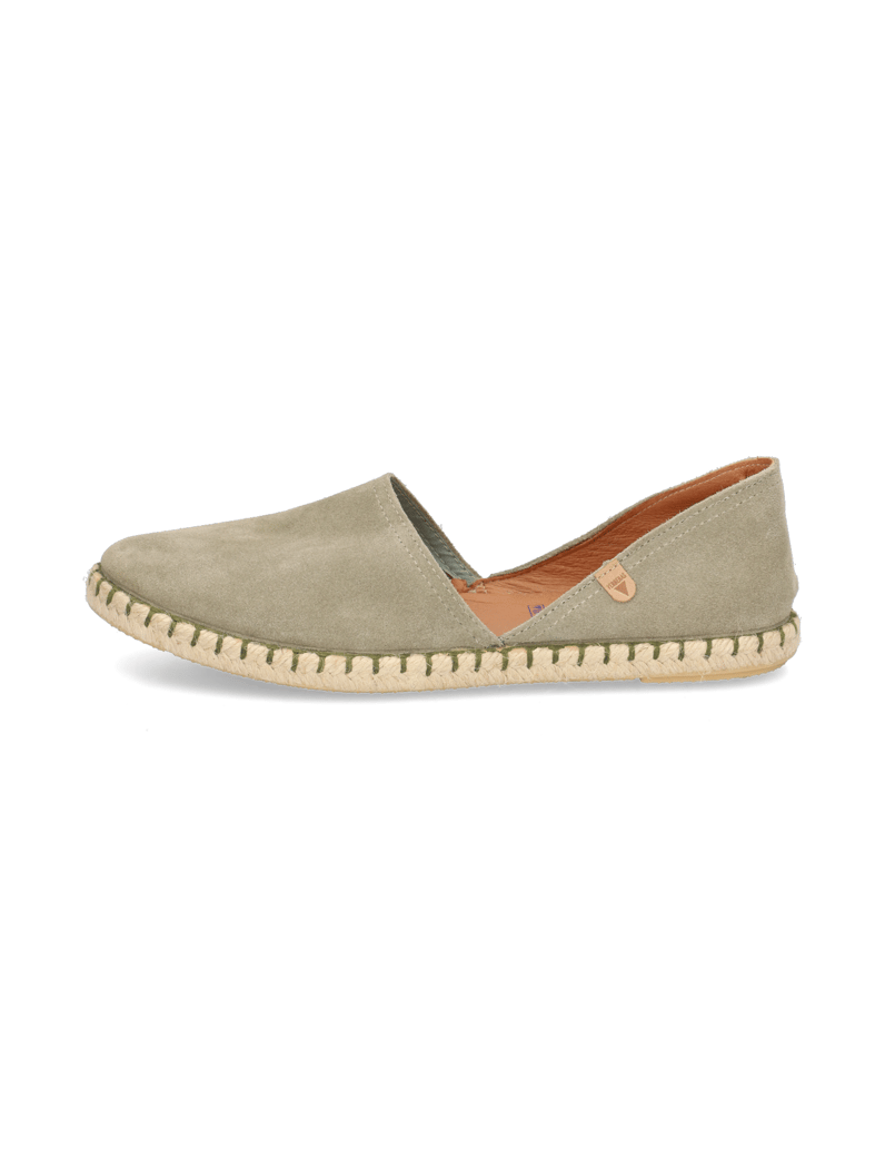 Verbenas-Carmen-Calpe-oliv