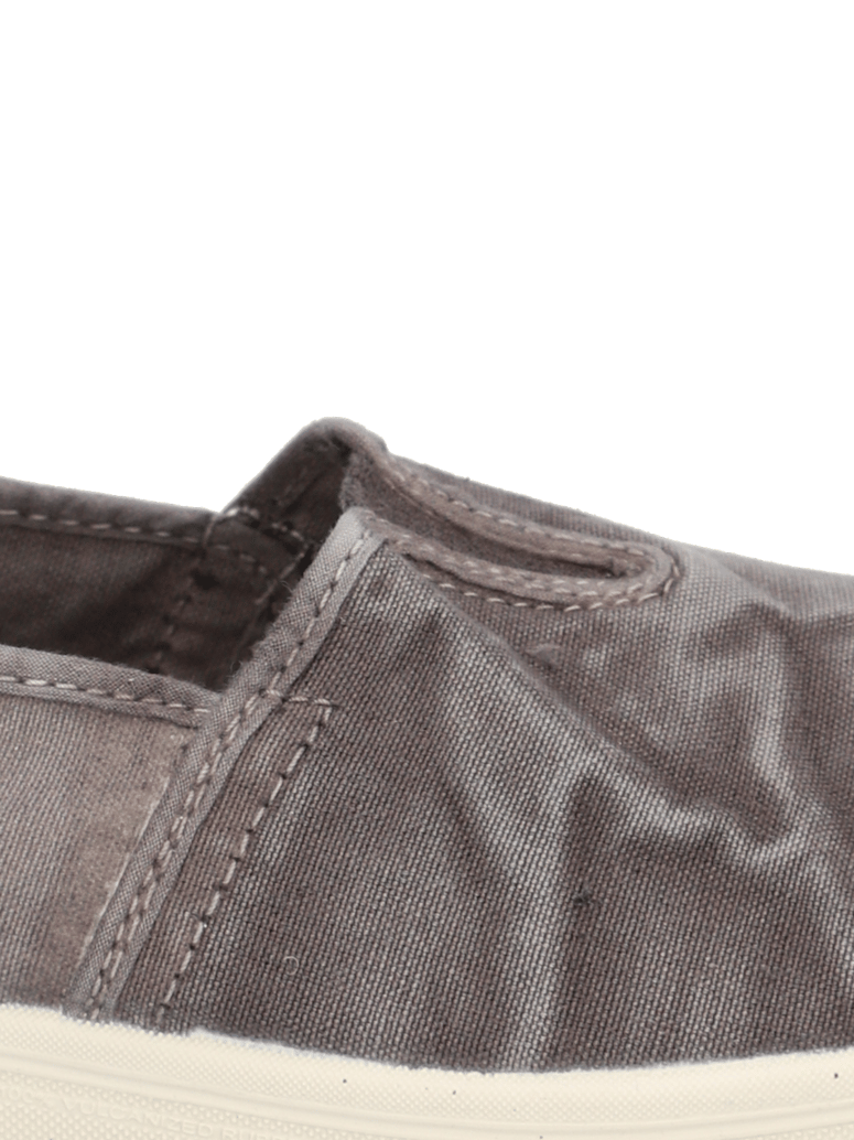 Natural-World-BONSAI-weiss