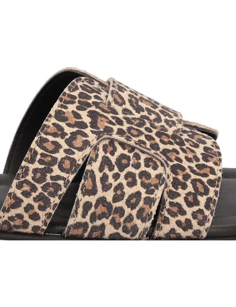 Pat-Calvin-Veloursleder-Pantoffel-multicolor