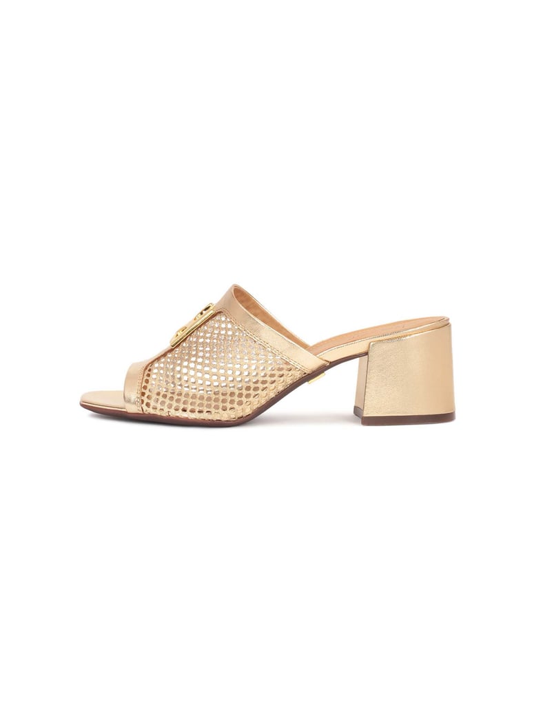 Kazar-SAGE-gold