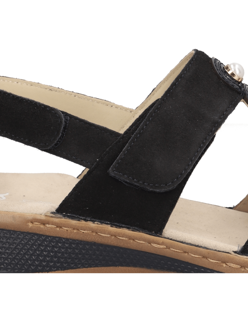 Ara-Hawaii-2.0-blau