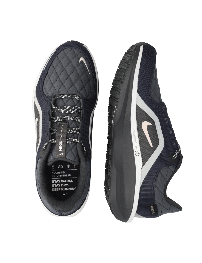 Nike-Nike-Winflo-11-Gore-tex-schwarz