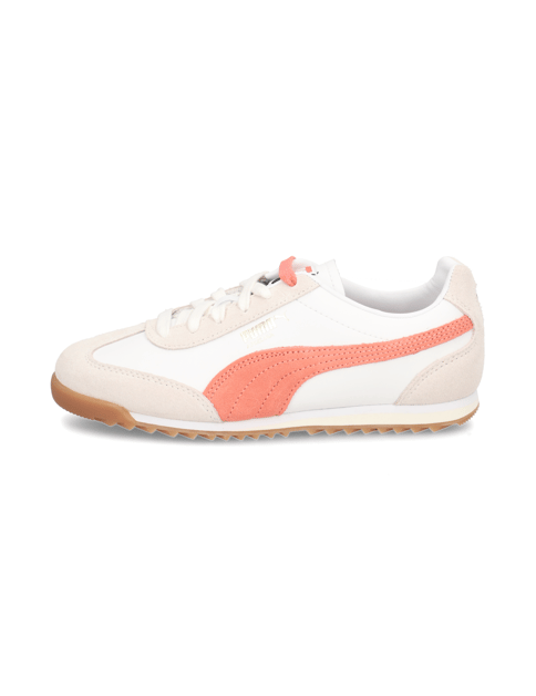 Arizona Retro