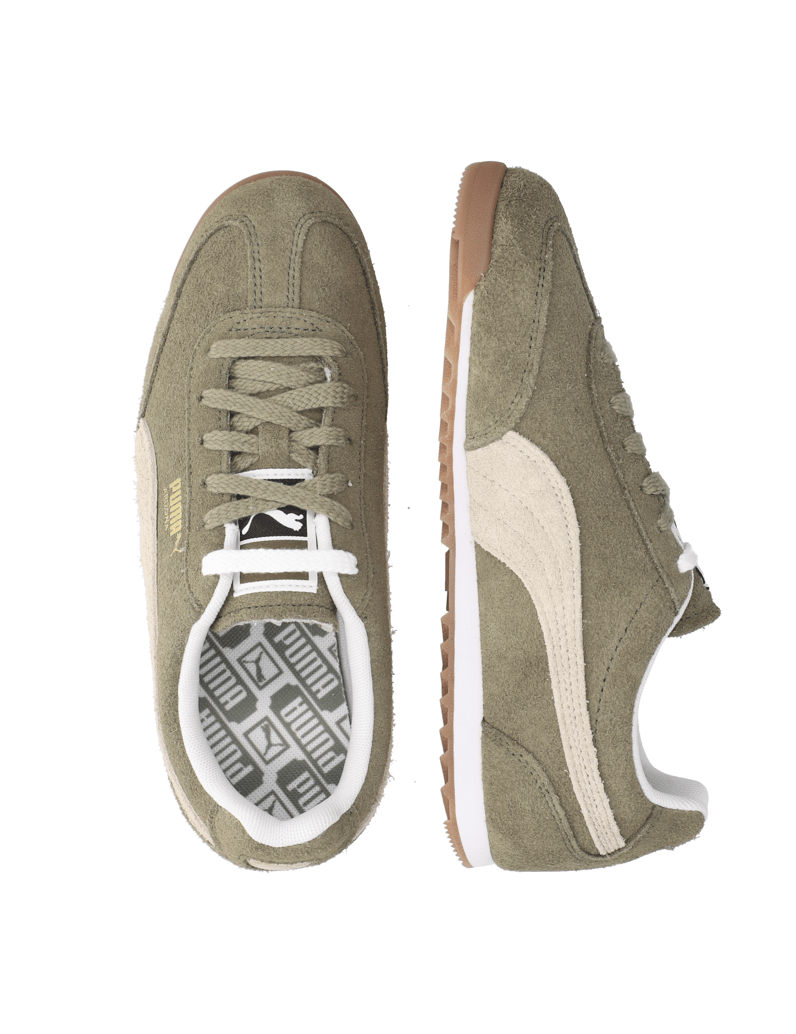 Puma-ARIZONA-SD-oliv