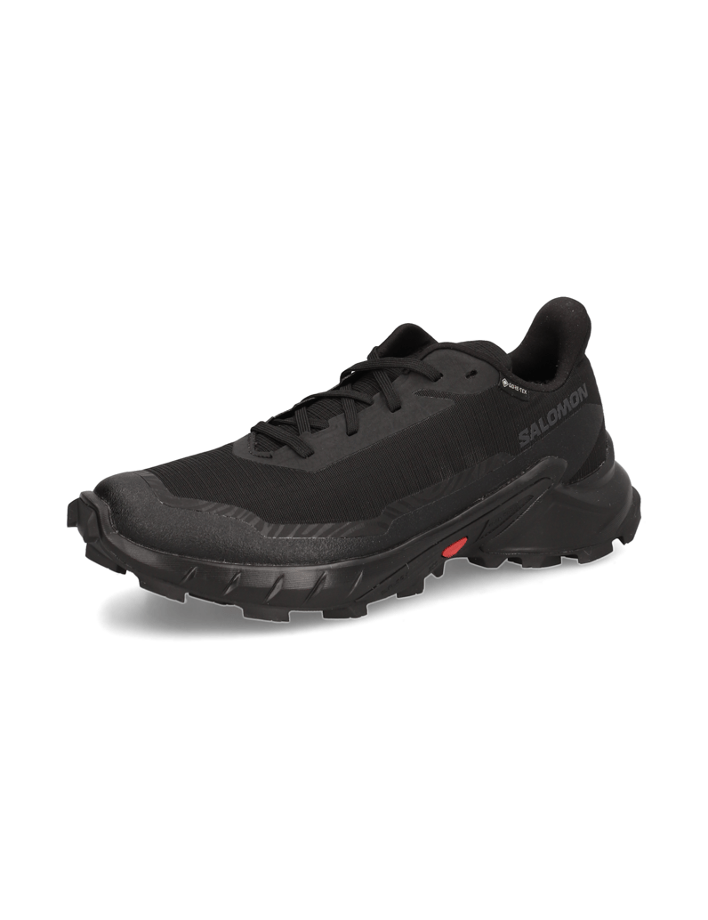 Salomon-ALPHACROSS-5-GTX-W-schwarz