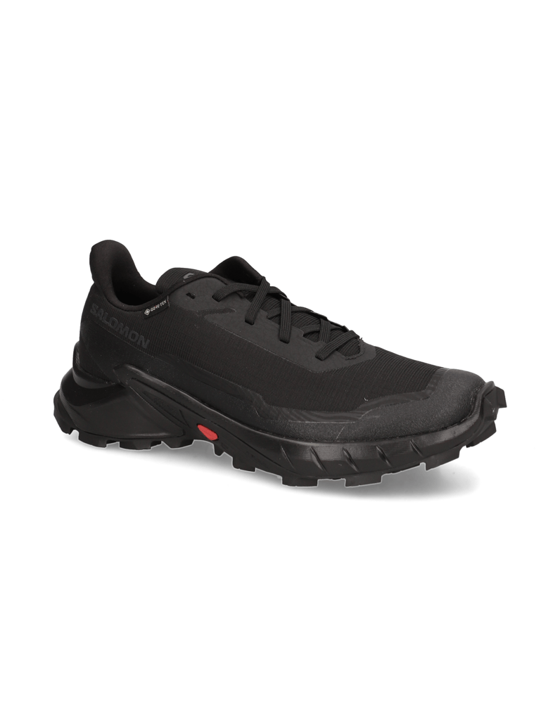 Salomon-ALPHACROSS-5-GTX-W-schwarz