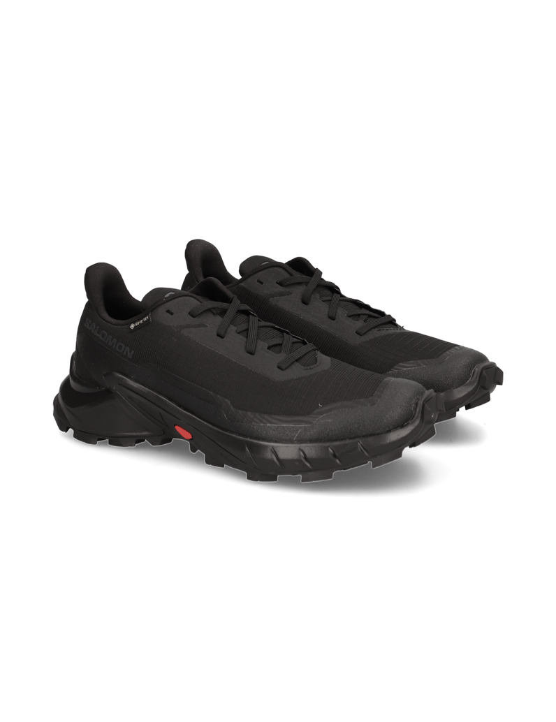 Salomon-ALPHACROSS-5-GTX-W-schwarz
