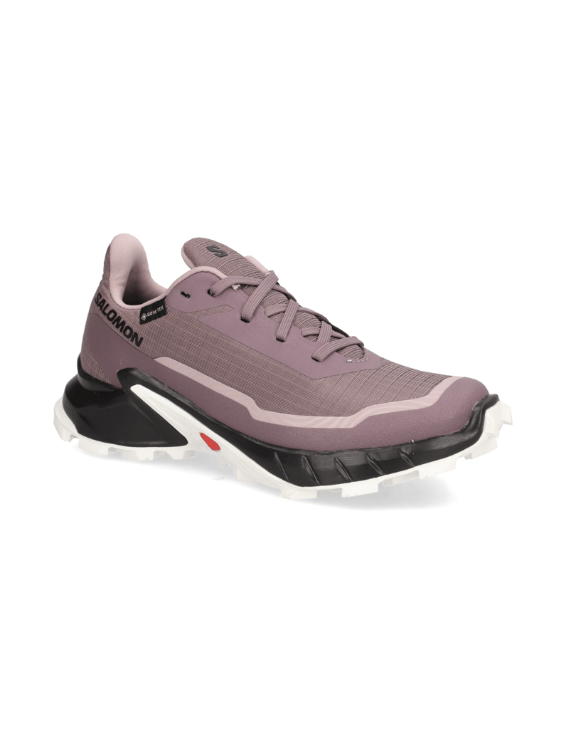 Salomon-ALPHACROSS-5-GTX-W-schwarz