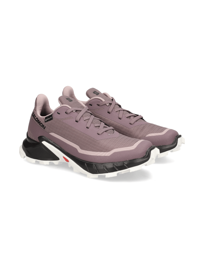 Salomon-ALPHACROSS-5-GTX-W-schwarz
