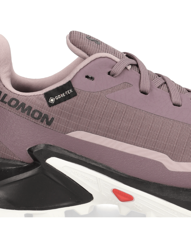 Salomon-ALPHACROSS-5-GTX-W-schwarz