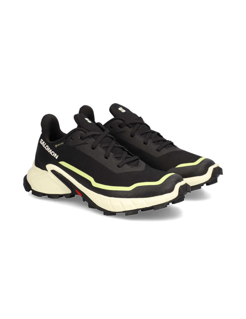 Salomon-ALPHACROSS-5-GTX-W