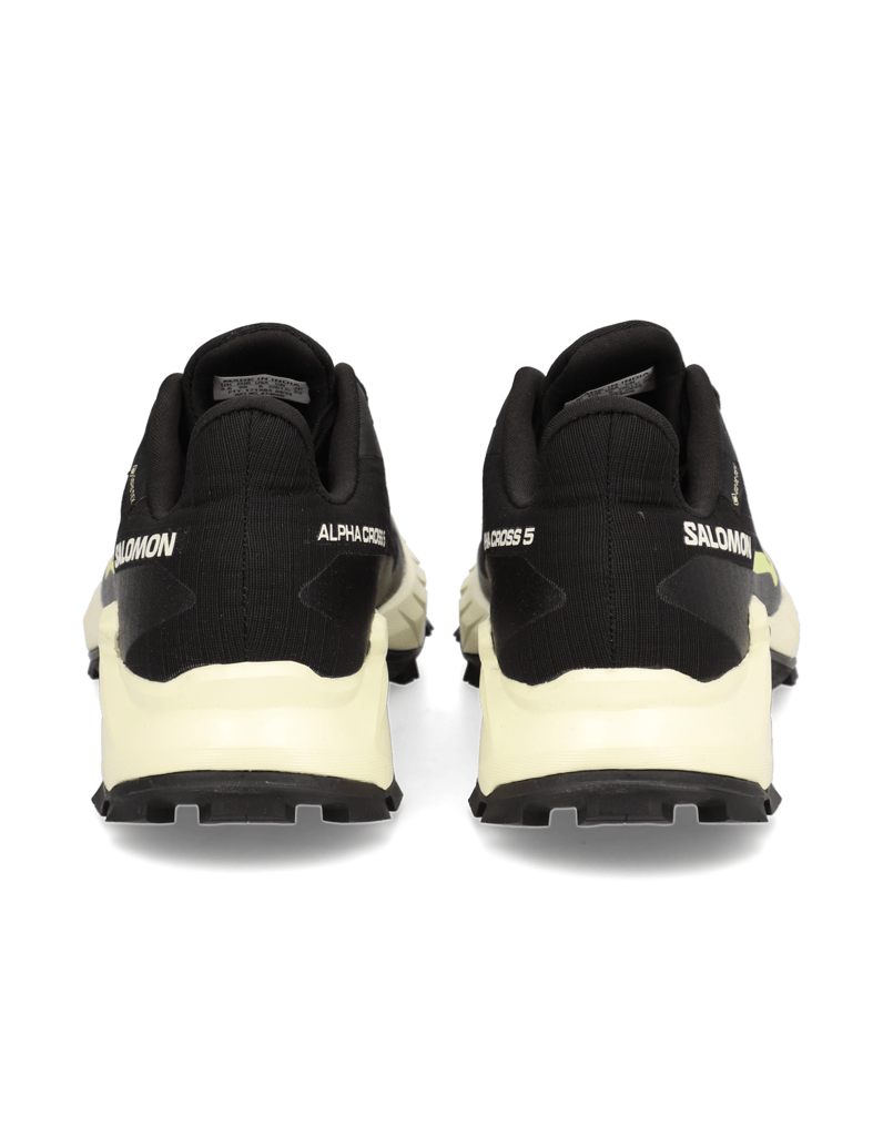 Salomon-ALPHACROSS-5-GTX-W