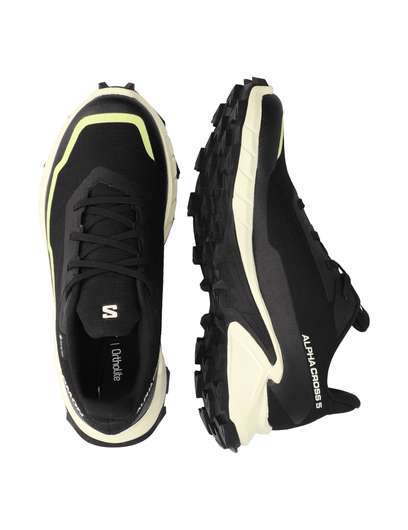 Salomon-ALPHACROSS-5-GTX-W