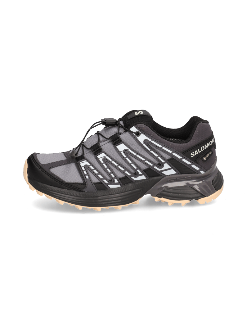 Salomon-XT-RECKON-GTX-W-grau