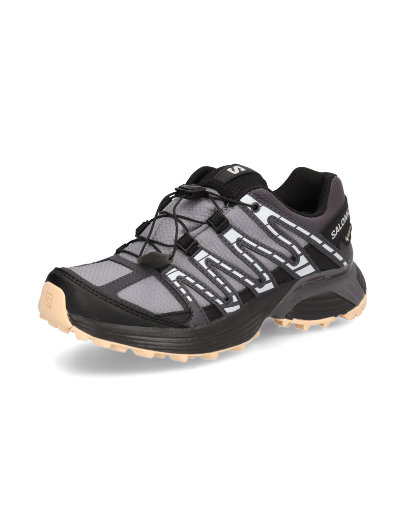 Salomon-XT-RECKON-GTX-W-grau