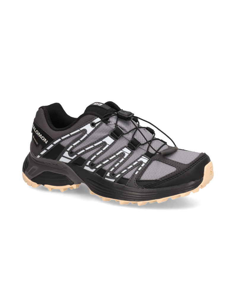 Salomon-XT-RECKON-GTX-W-grau