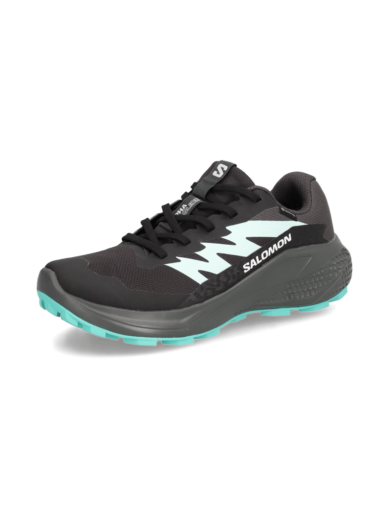 Salomon-ALPHAGLIDE-GTX-W-schwarz