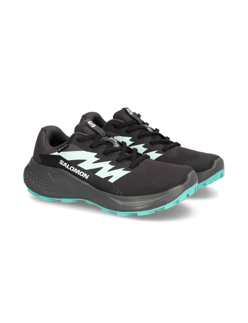 Salomon-ALPHAGLIDE-GTX-W-schwarz