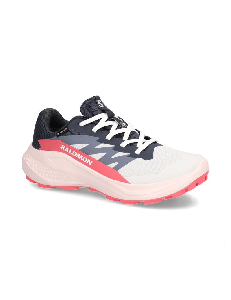 Salomon-ALPHAGLIDE-GTX-W-schwarz