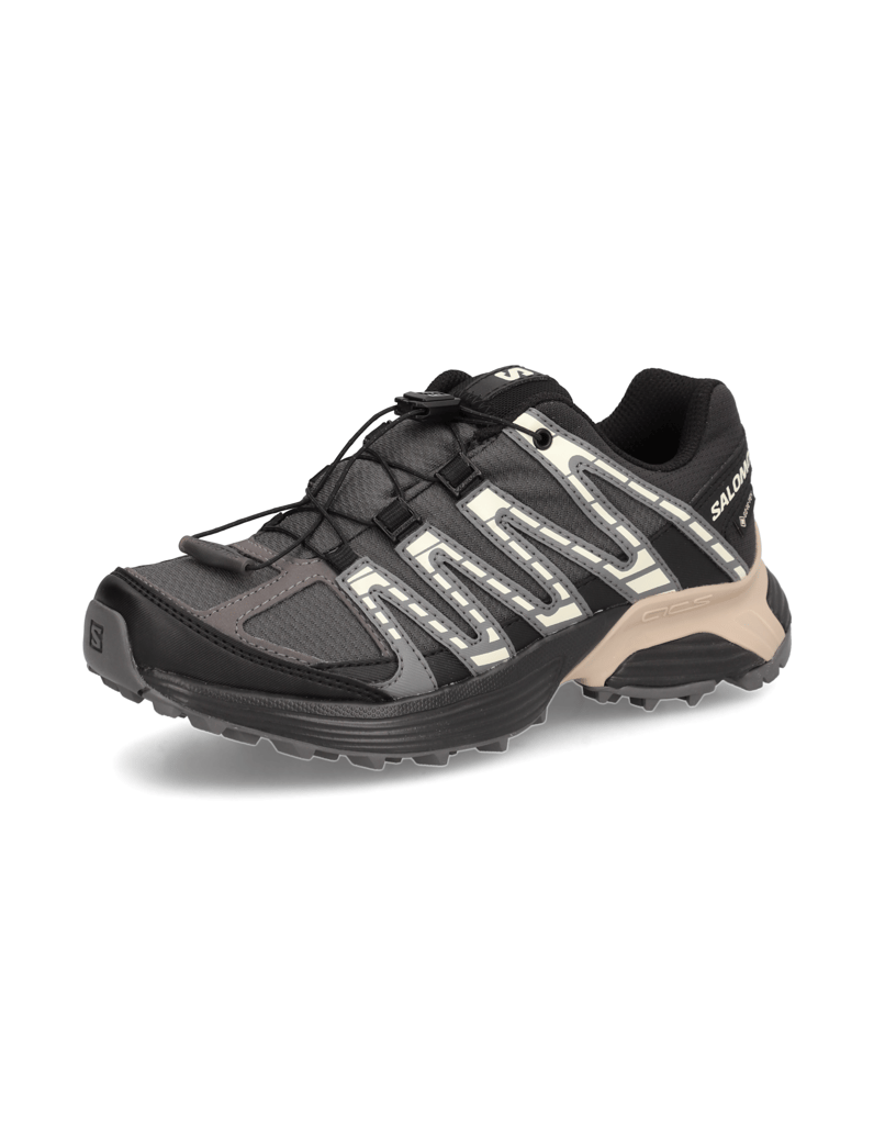 Salomon-XT-RECKON-GTX-W-schwarz