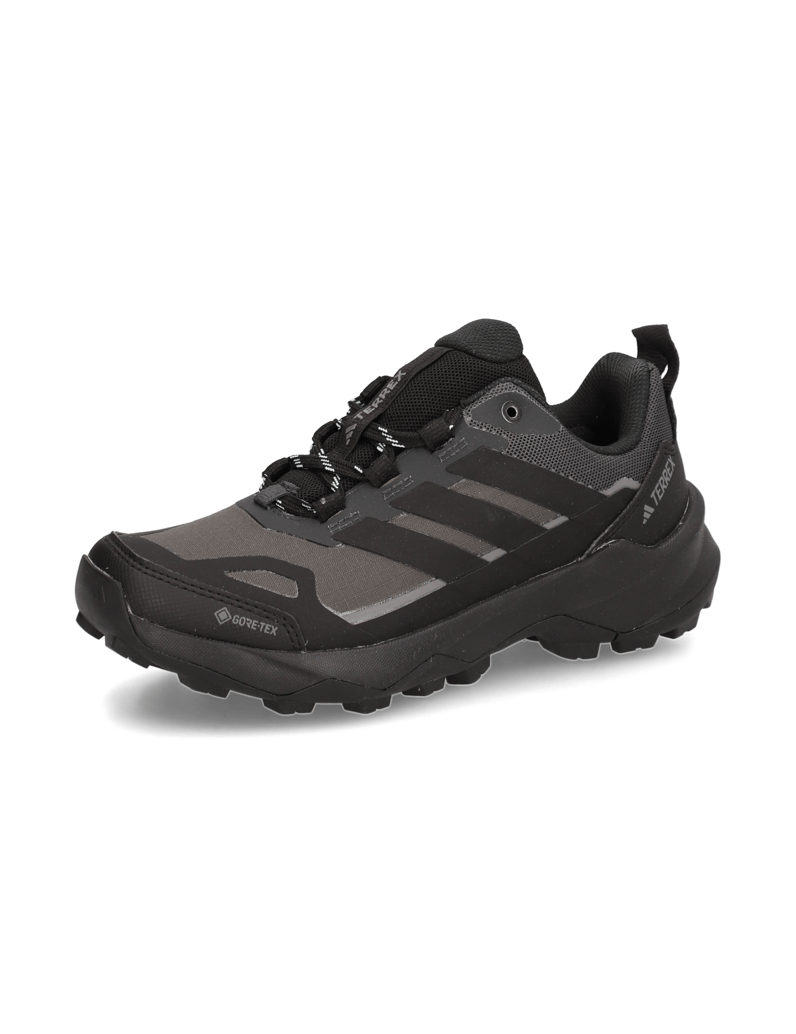 Adidas-TERREX-SKYCHASER-AX5-GTX-W-schwarz