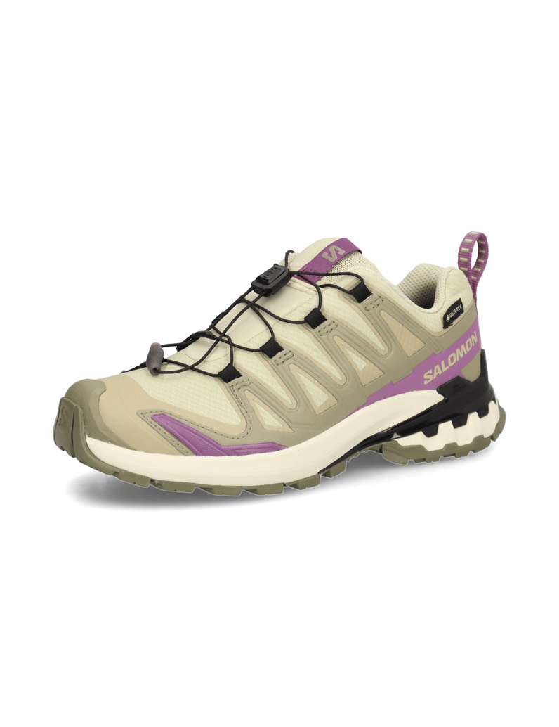 Salomon-XA-PRO-3D-V9-GTX-W-grau