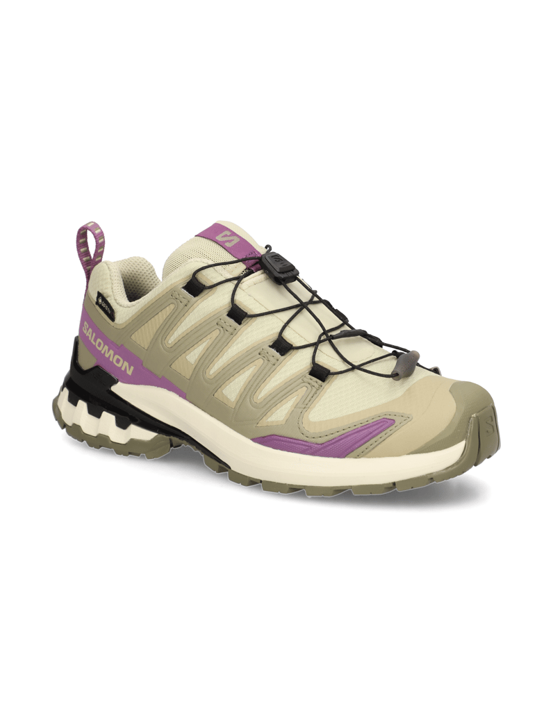 Salomon-XA-PRO-3D-V9-GTX-W-grau
