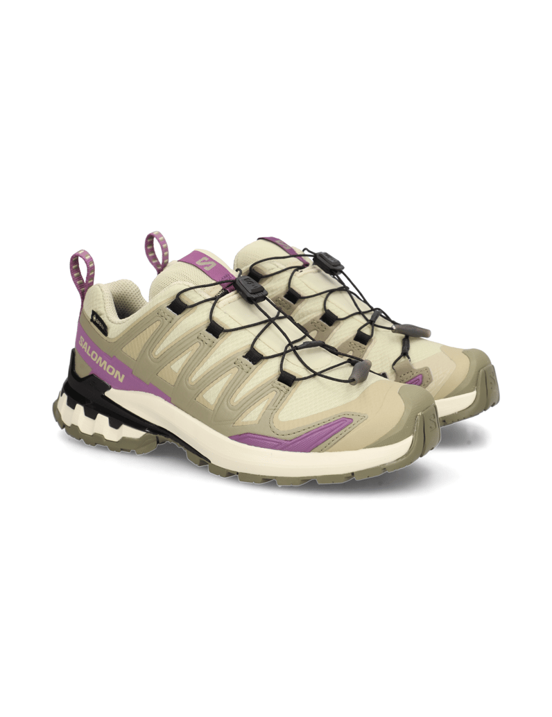 Salomon-XA-PRO-3D-V9-GTX-W-grau