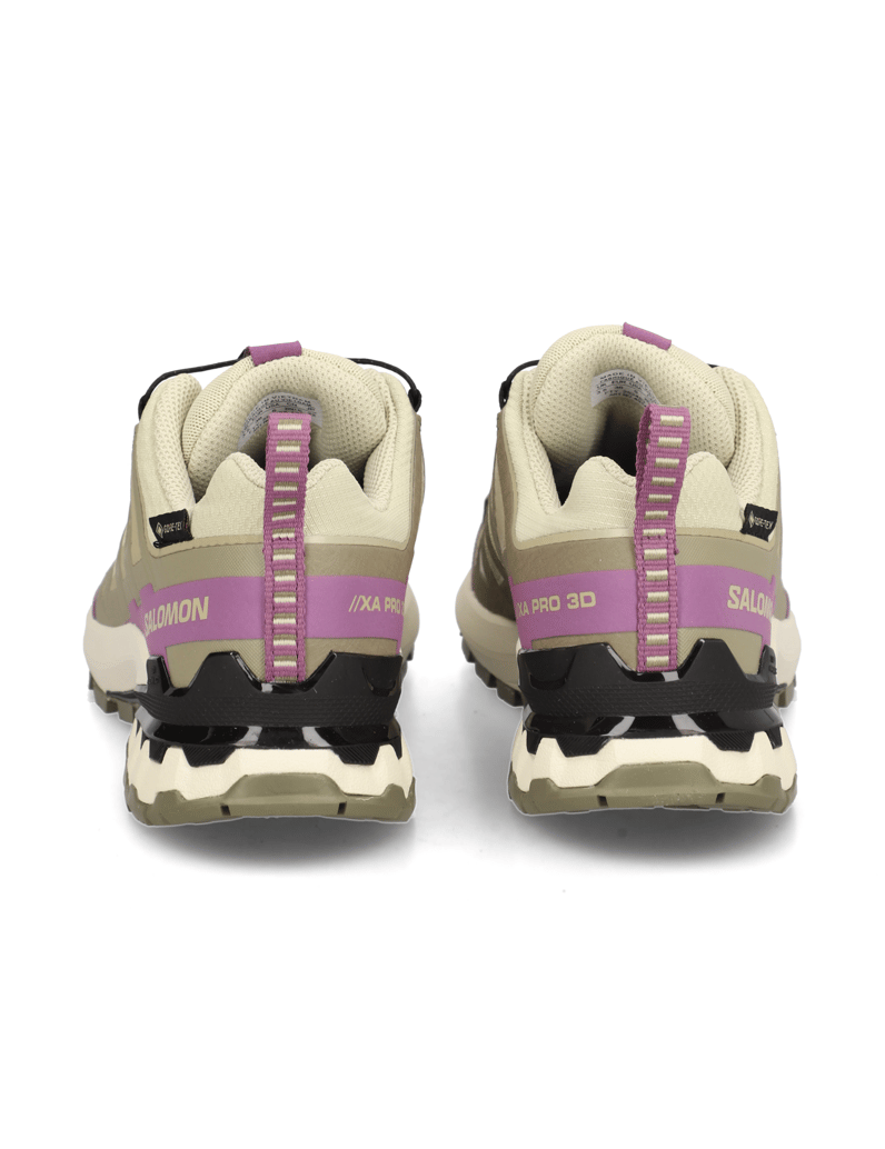 Salomon-XA-PRO-3D-V9-GTX-W-grau