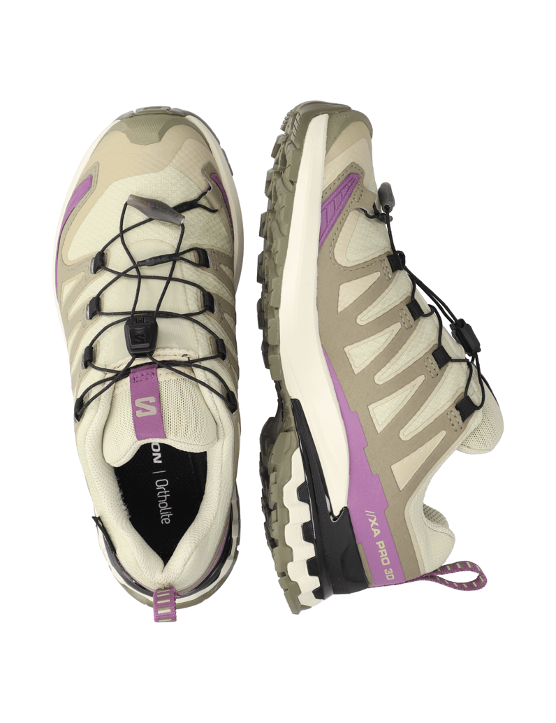 Salomon-XA-PRO-3D-V9-GTX-W-grau