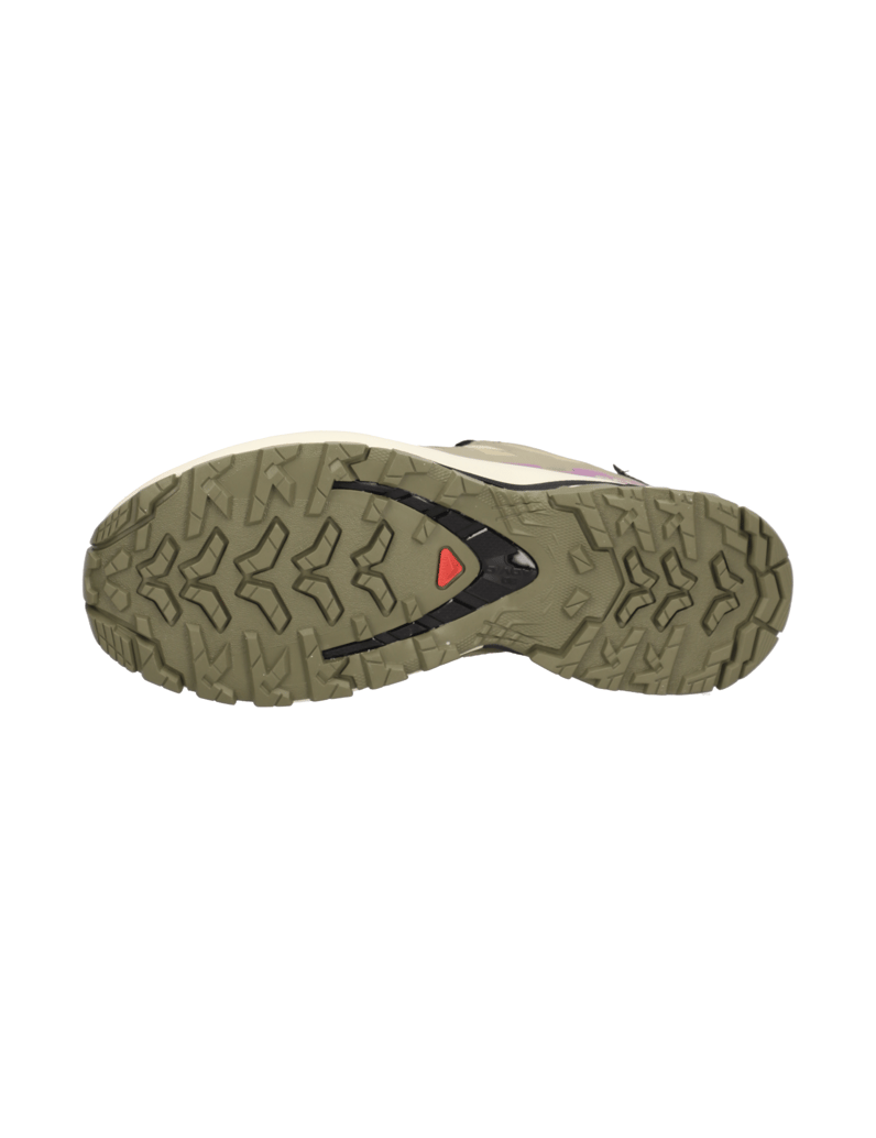 Salomon-XA-PRO-3D-V9-GTX-W-grau