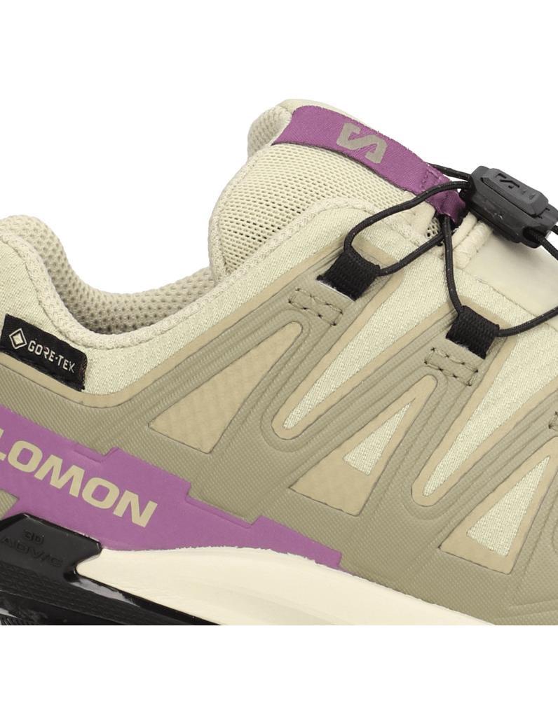 Salomon-XA-PRO-3D-V9-GTX-W-grau