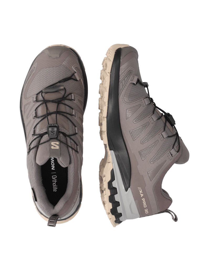 Salomon-XA-PRO-3D-V9-GTX-W-grau