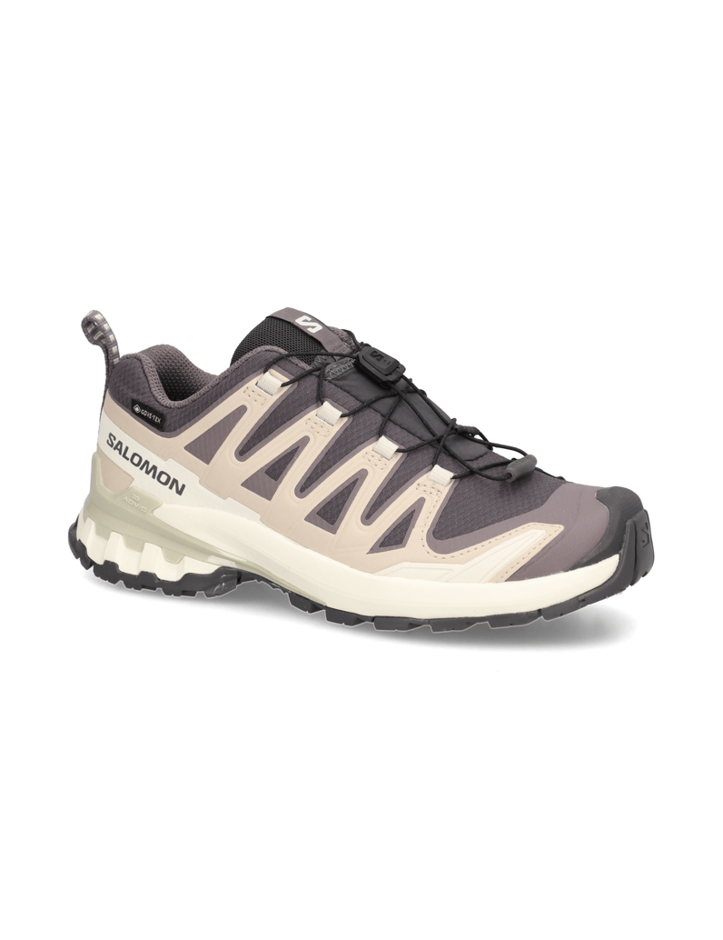 Salomon-XA-PRO-3D-V9-GTX-W-grau