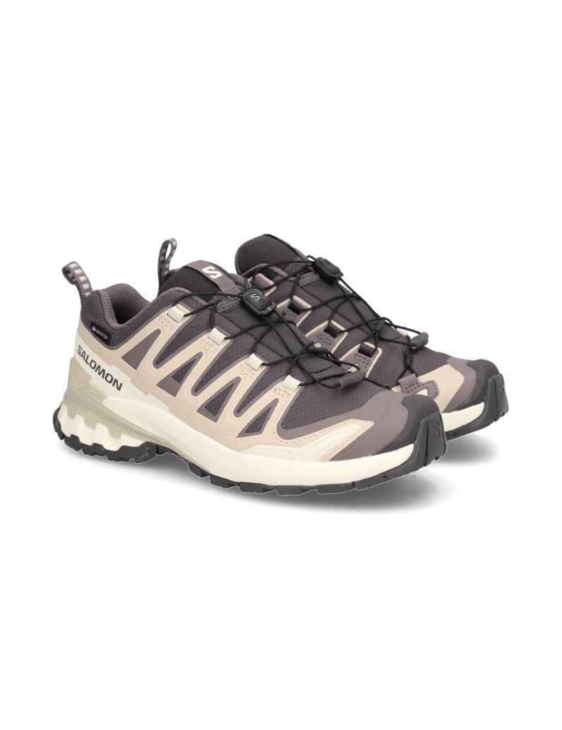 Salomon-XA-PRO-3D-V9-GTX-W-grau