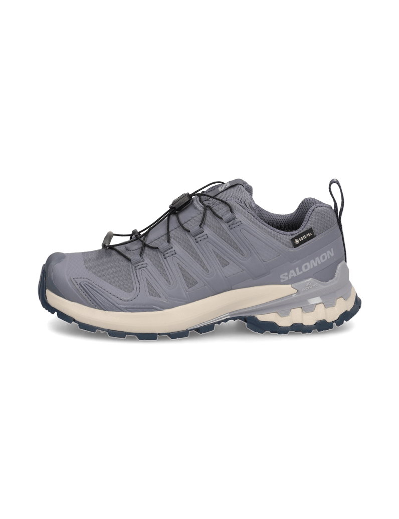 Salomon-XA-PRO-3D-V9-GTX-W-grau