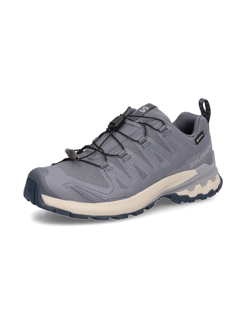 Salomon-XA-PRO-3D-V9-GTX-W-grau
